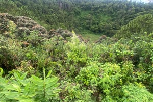 Mauritius: Heldagsutflykt med Vallée Adventure Park