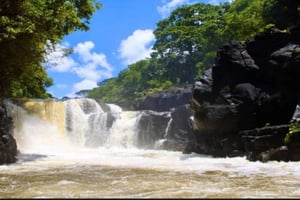 Mauricio: crucero en catamarán a Île aux Cerfs con barbacoa