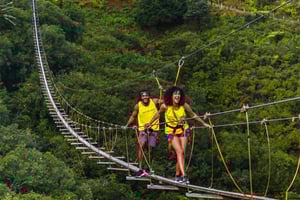 Mauritius: Nepalese Bridge 350m at Vallé Advenature Park