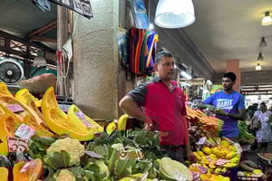 Mauritius: Port-Louis, Ogród Cytrusowy – przewodnik i odbiór