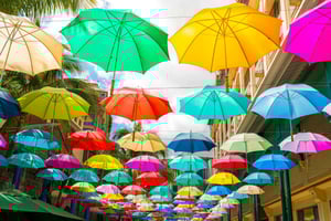 Private Instagram-Tagestour