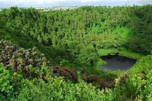 Maurícia: Tour particular guiado a sul com serviço de busca