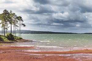 Île Maurice : Vacoas, gorges de la Rivière Noire, Chamouny