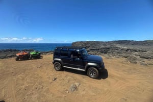 Mauritius: VIP-quad-tur i det sydlige Mauritius