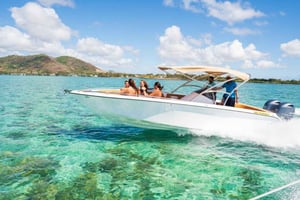 Маврикий: скоростной катер Ile aux Cerfs, водопад GRSE, барбекю, бар