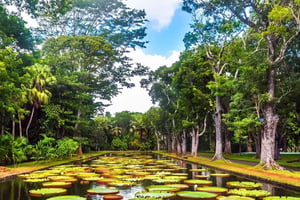 Mauritius: Turtle Swim and North Discovery Tour with Pickup