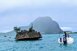 Nado con delfines/snorkel privado y almuerzo en la isla de Benitiers