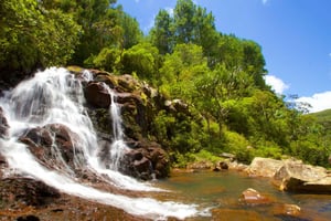 Signature South West Full day with visit to 3 parks & Lunch