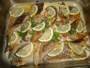 Somaza Delight (Closed)