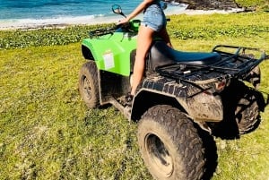 Södra delen av Mauritius: Quad Bike Tour