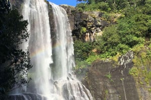 タマリンド滝ガイド付きハイキング（7つの滝、水泳付き）