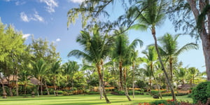 The Oberoi Mauritius