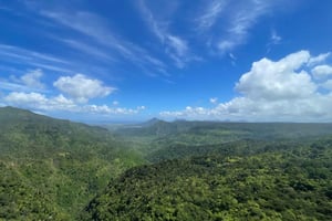 Unforgettable South Excursion Mauritius