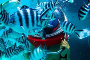 Passeggiata sotto il mare a Mauritius con trasferimento