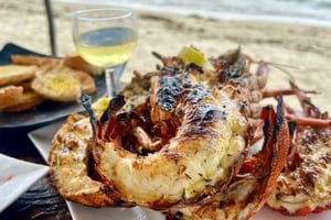 Hvaler og delfiner Miljøvennlig eventyr og grillfest på Benitier Island