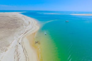 Odyssey Ria Formosa Boottochten