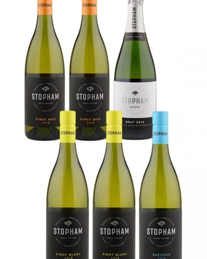 Stopham Vineyard
