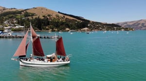 Fox II Segling Akaroa