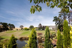 Pegasus Winery, Vinhedo e Deli