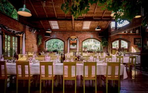 Landgoed Trent's Vineyard