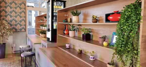 Zen Sushi and Dumplings