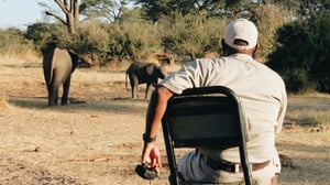 A Memorable Stay At Matetsi Victoria Falls