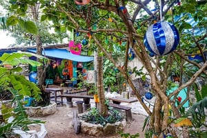 Best Playa del Carmen and Riviera Maya Markets
