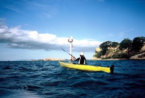 Kayaking Made Easy on Auckland Harbour