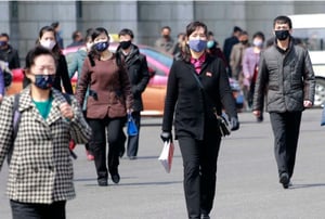 Korea's Covid 19  response