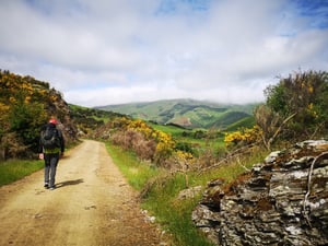 Unsere 4-tägige Wanderung auf dem Clutha Gold Trail