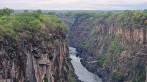 Notre expérience inoubliable au camp des éléphants