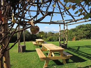 Proteas des Hautes Terres de l'Est