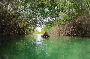 Sian Ka'an Biosphere