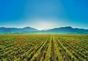 The Few Plains in Mountainous Montenegro