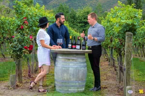 Appellation Wine Tours