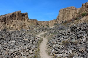 Bannockburn Sluicings