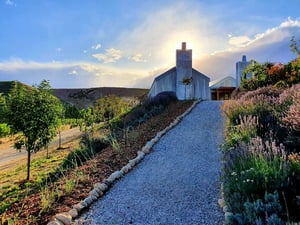 Domaine-Thomson Wines