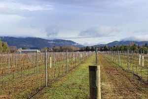 Dunstan Road Wines