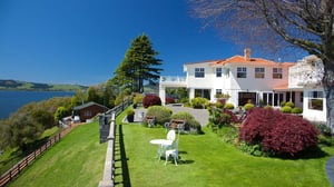 On the Point - Sjön Rotorua