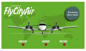 Fly City Air Flights 