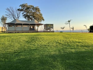 Fothergill Matusadona