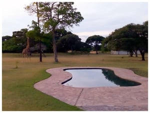 Jabulani Safaris
