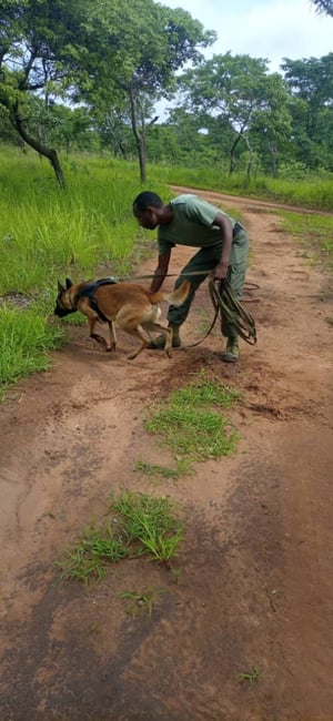 Ryder Protection Services Zimbabwe (RPSZ)