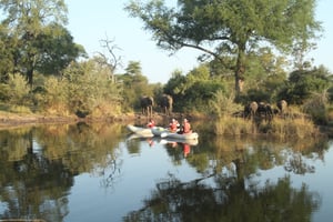 Zimbabwe Professional Guides Association (Z.P.G.A.)