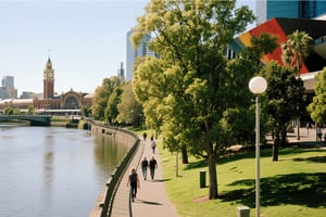 Melbourne: tour in pullman e in piccoli gruppi della Great Ocean Road
