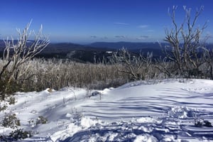From  Lake Mountain Snow Experience