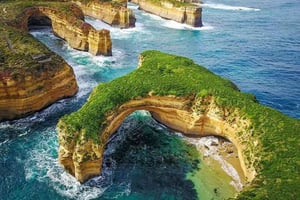 Fra Melbourne: Tur på Great Ocean Road og de tolv apostle