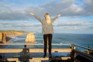 Wycieczka Great Ocean Road z luksusowym minibusem i najlepszym przewodnikiem