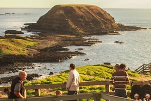 Из Мельбурна: Парад пингвинов, коалы и кенгуру