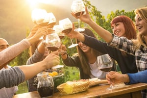 Från Melbourne: Privat vingårdstur i Yarra Valley med lunch